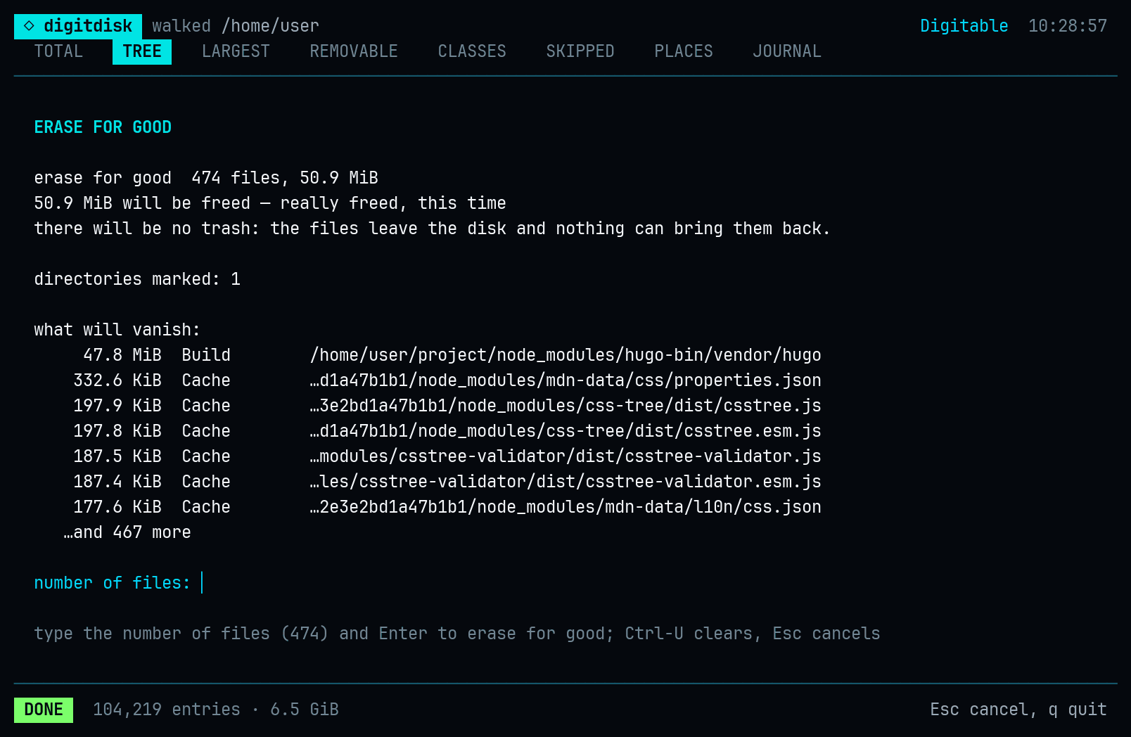 The screen of digitdisk analyze /home/user --live --lang en: 28 lines; as letters, right below.
